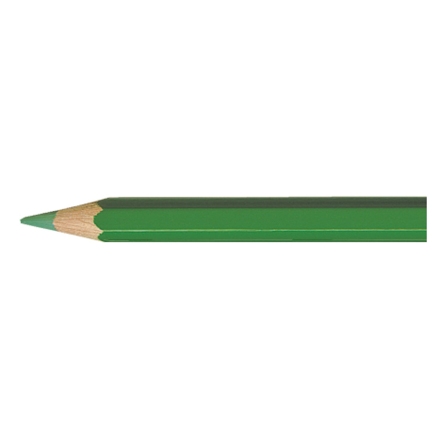 Pablo GRASS GREEN 220 Kleurpotlood Caran d'Ache