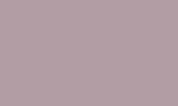 Luminance VIOLET GREY 093 Kleurpotlood Caran d'ache