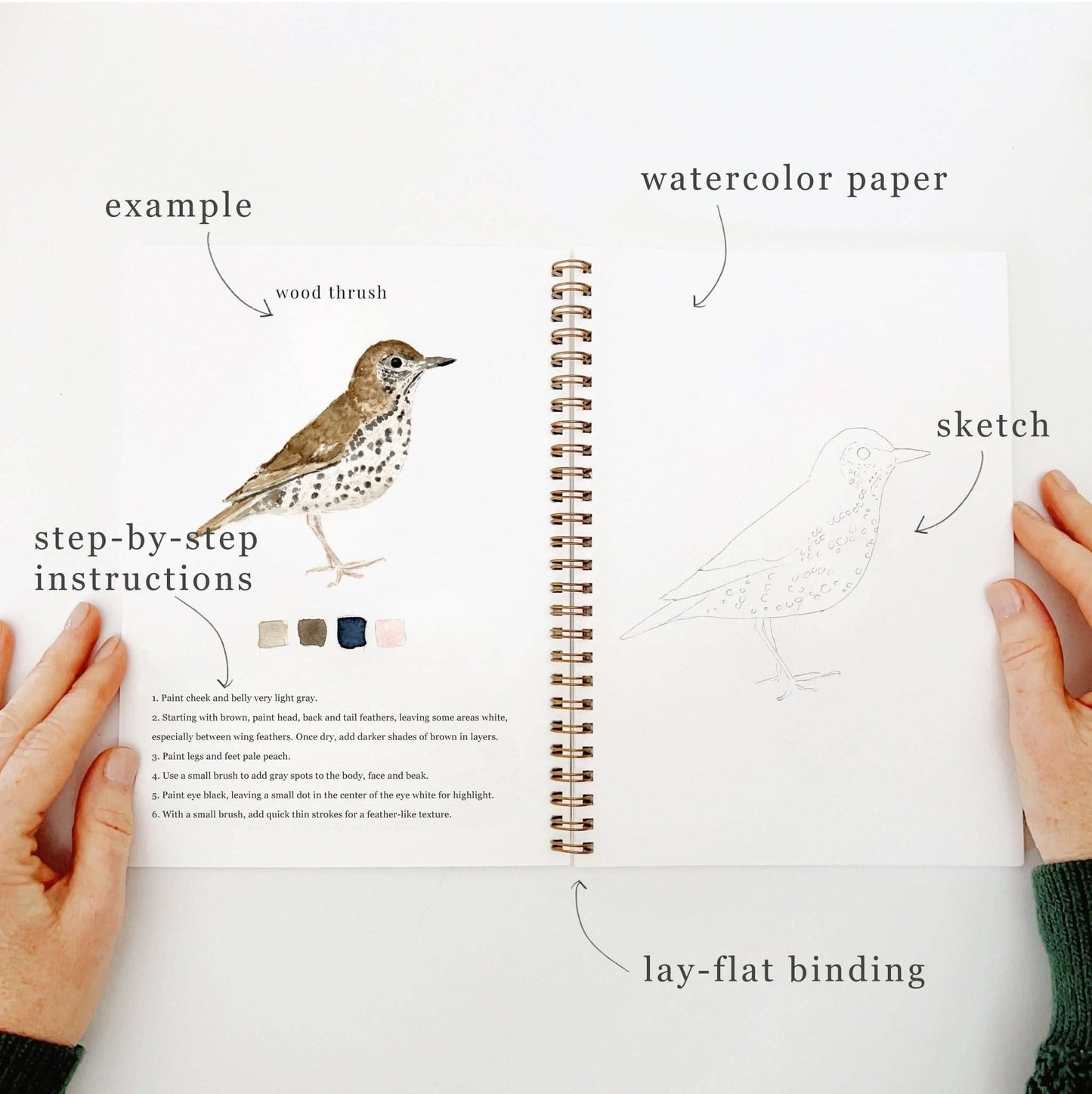 Aquarelverf werkboek - Vogels - emily lex studio watercolor workbook