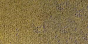 039 Olive Brown Pastel Potlood Caran D'Ache